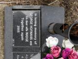 image of grave number 847126